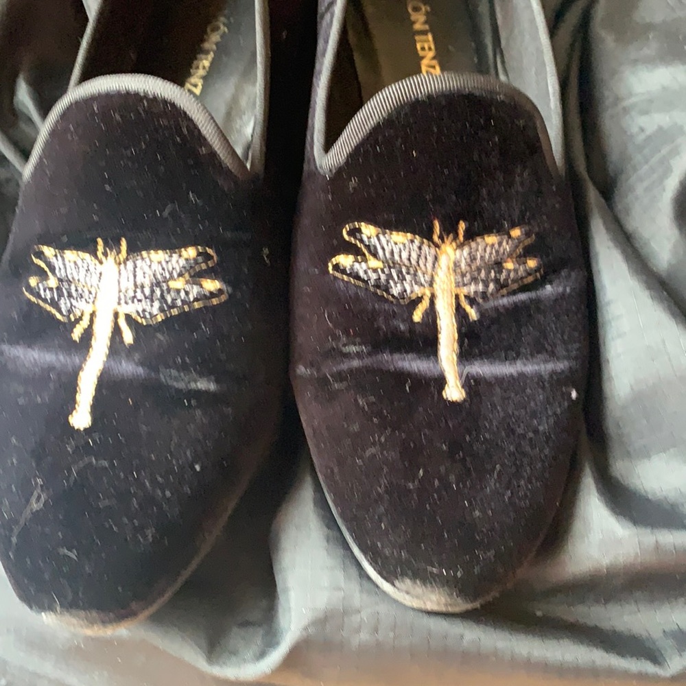 Ramon Tenza size 39 velvet shoes dragonfly